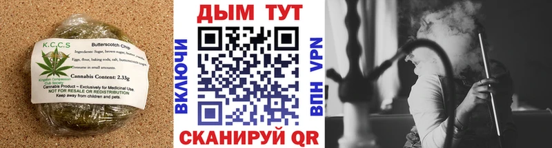 blacksprut как зайти  Ленинск  Cannafood конопля 