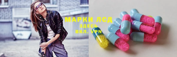 ПСИЛОЦИБИНОВЫЕ ГРИБЫ Балахна