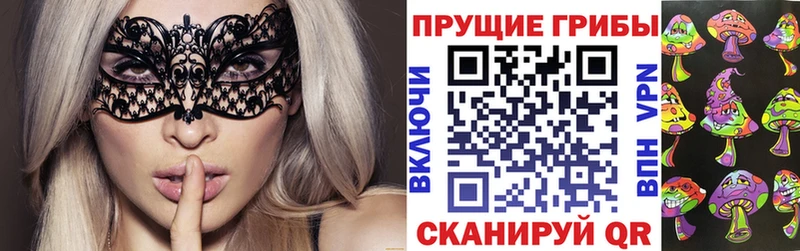 мориарти Telegram  Ленинск  Галлюциногенные грибы Cubensis 